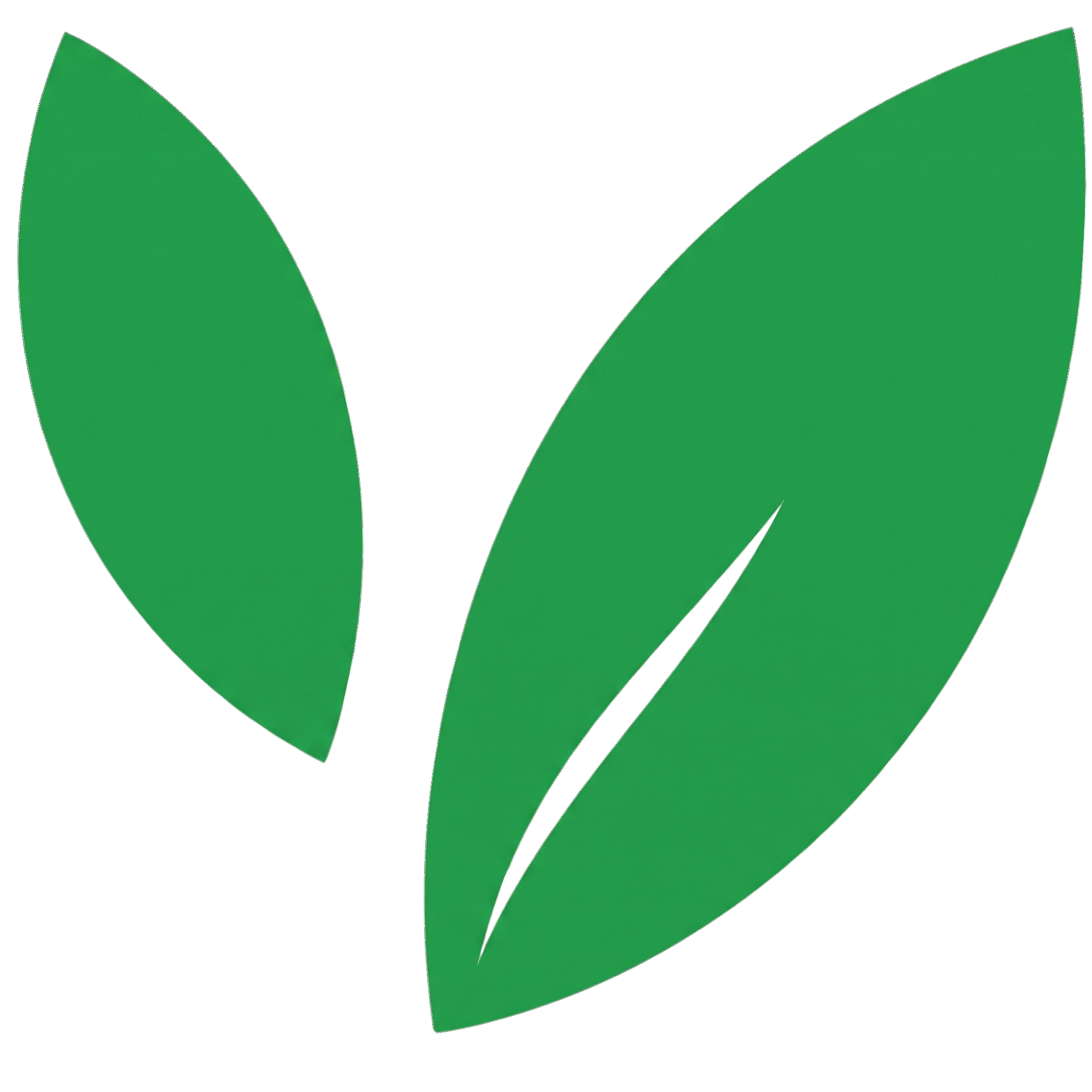 Veg4me icon